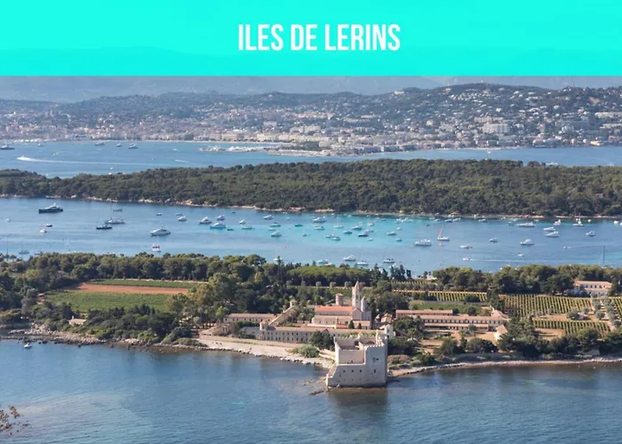 Les Sorbiers - Centre - Spacieux & Climatisation شقة كان